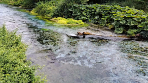 2023.06 Albanien Blue Eye 1